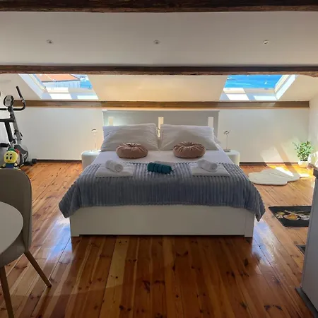 公寓 Rooftop Giovanina 斯普利特