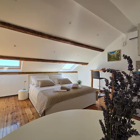 公寓 Rooftop Giovanina 斯普利特