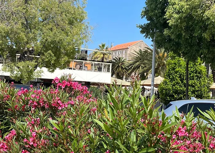 Rooftop Giovanina Daire *